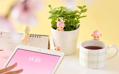 HIPPERS Cherry Blossom Series